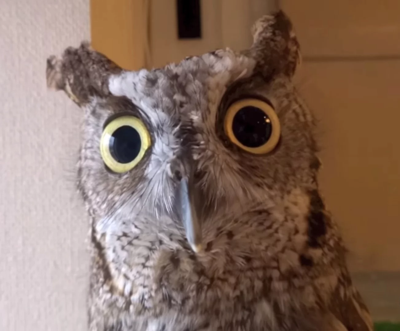 Тест на профессиональное выгорание